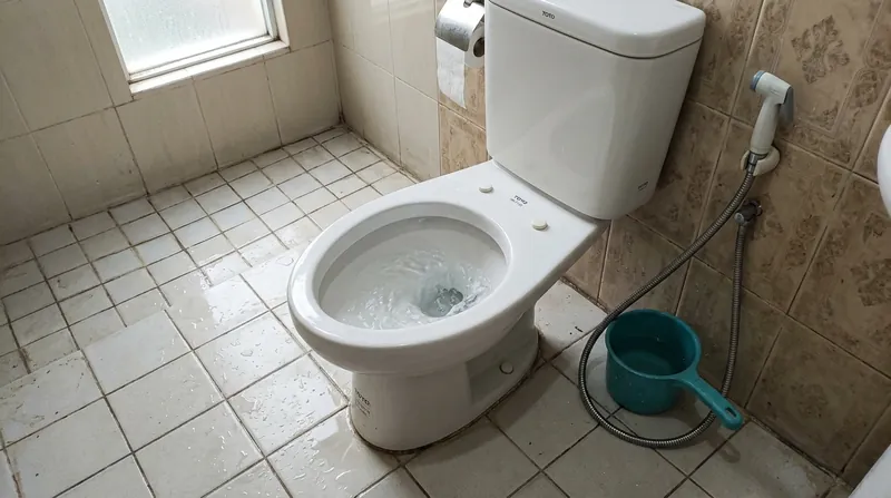 Hasil nyata: Saluran toilet bersih segar, bebas bau busuk menahun